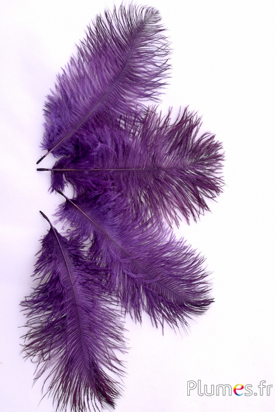 Autruche - 13-18 cm - aubergine